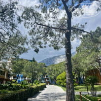 фото из отзыва ID 2695438