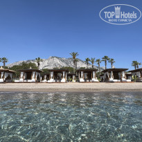 фото из отзыва ID 2695438