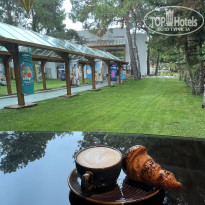 фото из отзыва ID 2695438