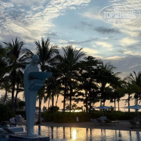 фото из отзыва ID 2695541