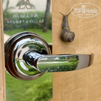 фото из отзыва ID 2695541