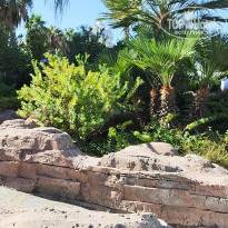 фото из отзыва ID 2695526