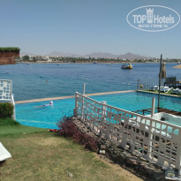 фото из отзыва ID 2695606