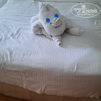 фото из отзыва ID 2695637