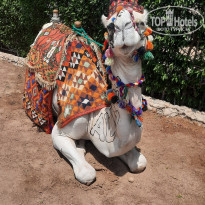 фото из отзыва ID 2695637