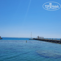 фото из отзыва ID 2695637