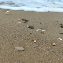 фото из отзыва ID 2695776