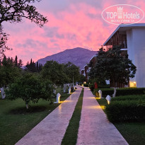 фото из отзыва ID 2695834