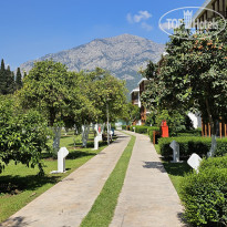 фото из отзыва ID 2695834