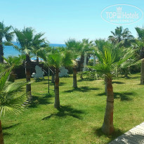 фото из отзыва ID 2695839