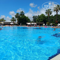 фото из отзыва ID 2695860