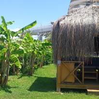 фото из отзыва ID 2695895