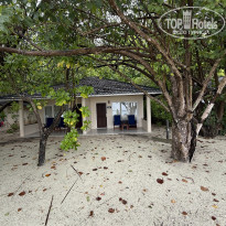 фото из отзыва ID 2695913