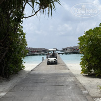 фото из отзыва ID 2695913