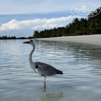 фото из отзыва ID 2695913