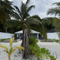 фото из отзыва ID 2695913