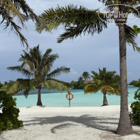 фото из отзыва ID 2695913