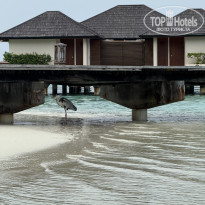 фото из отзыва ID 2695913