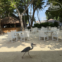 фото из отзыва ID 2695913