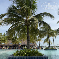 фото из отзыва ID 2695913