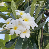 фото из отзыва ID 2695913