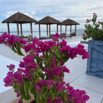 фото из отзыва ID 2695913