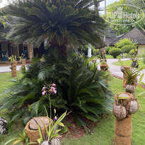 фото из отзыва ID 2695913