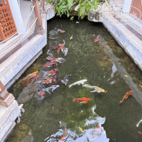 фото из отзыва ID 2695913