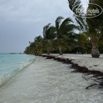 фото из отзыва ID 2695913