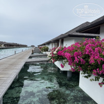 фото из отзыва ID 2695913