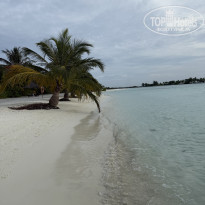 фото из отзыва ID 2695913