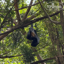 фото из отзыва ID 2695913