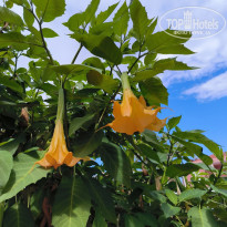 фото из отзыва ID 2695951