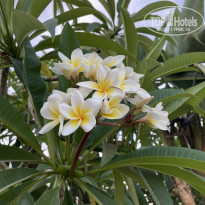 фото из отзыва ID 2695958