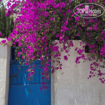 фото из отзыва ID 2693610