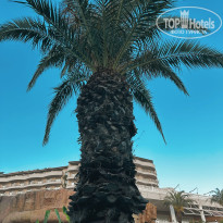 фото из отзыва ID 2695977