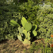 фото из отзыва ID 2695977