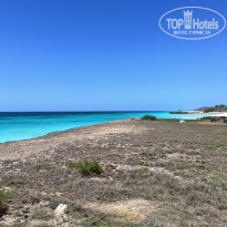 фото из отзыва ID 2695982