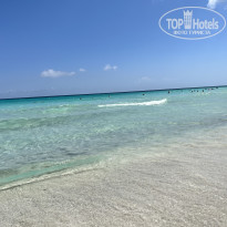 фото из отзыва ID 2695982