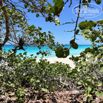 фото из отзыва ID 2695982