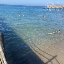 фото из отзыва ID 2695988