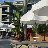 фото из отзыва ID 2696043