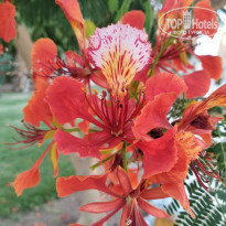 фото из отзыва ID 2696064