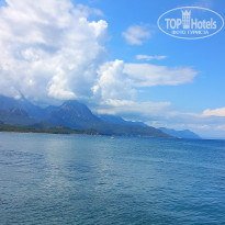 фото из отзыва ID 2696074