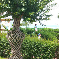 фото из отзыва ID 2696074