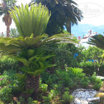 фото из отзыва ID 2696074