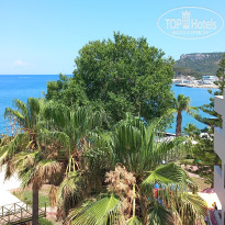 фото из отзыва ID 2696074