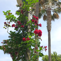 фото из отзыва ID 2696074