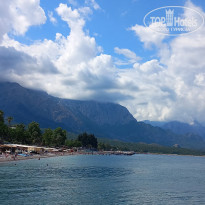 фото из отзыва ID 2696074