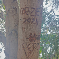 фото из отзыва ID 2696104